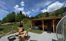 Tiny House Colibita